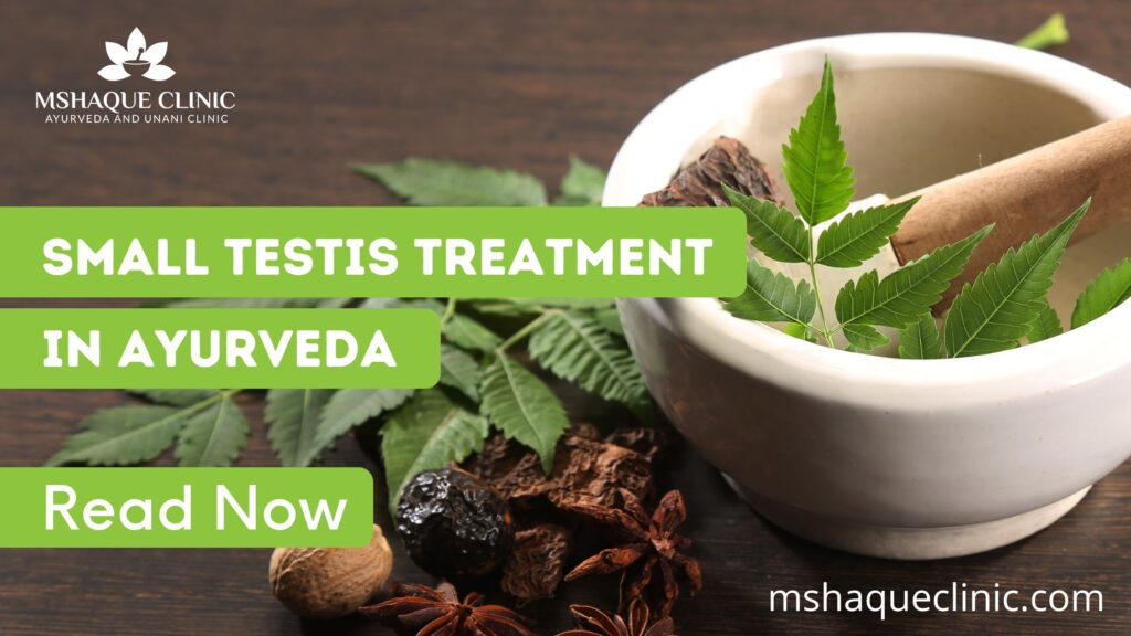 Small Testis Treatment In Ayurveda