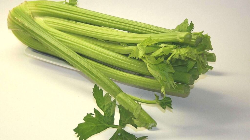 Celery