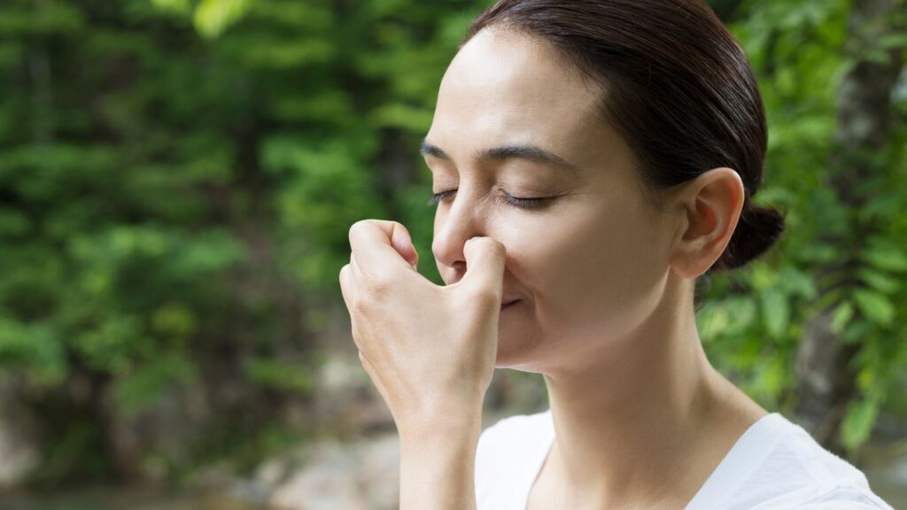 pranayama, and meditation
